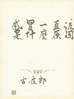 感冒一直流鼻涕是什么原因