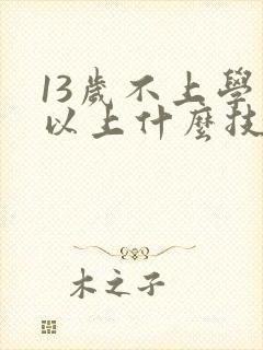 13岁不上学可以上什么技校