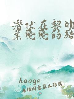 潜伏在黎明之前叶飞飞的结局