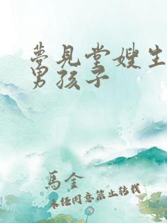 梦见堂嫂生了个男孩子