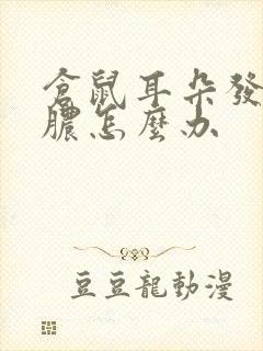 仓鼠耳朵发炎流脓怎么办