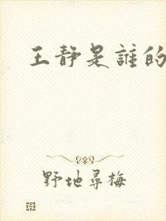 王静是谁的老婆