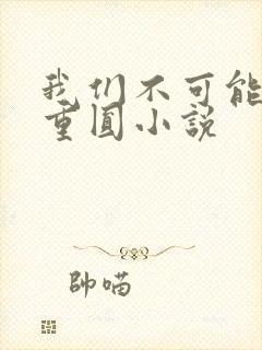 我们不可能破镜重圆小说