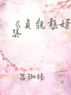 《贞观憨婿》全集