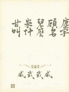 甘米儿顾尘小说叫什么名字