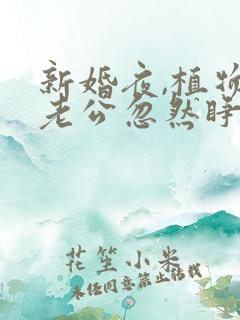 新婚夜,植物人老公忽然睁开眼听书完整版