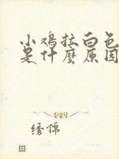 小鸡拉白色粪便是什么原因引起的?