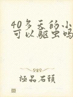 40多天的小猫可以驱虫吗