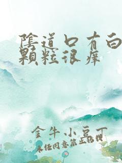 阴道口有白色的颗粒很痒