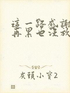 这一路感谢自己再累也没放弃是什么歌