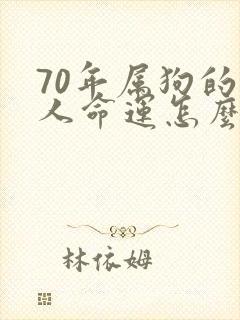 70年属狗的男人命运怎么样