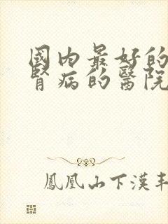 国内最好的治疗肾病的医院