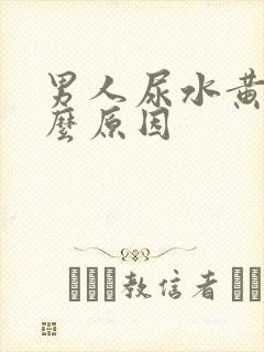 男人尿水黄是什么原因