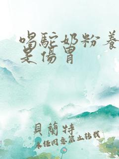 喝驼奶粉养胃还是伤胃