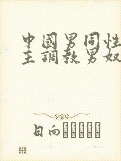 中国男同性恋男主调教男奴视频