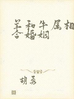 羊和牛属相合不合婚姻