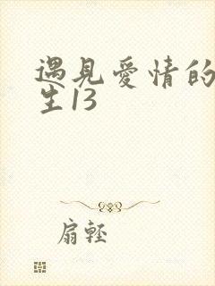 遇见爱情的利先生13