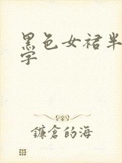 黑色女裙半身a字