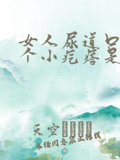 女人尿道口长一个小疙瘩是怎么回事