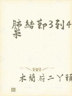 肺结节3到4毫米