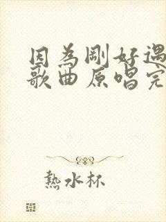 因为刚好遇见你歌曲原唱完整版