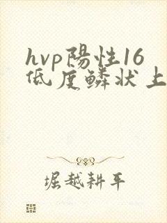 hvp阳性16低度鳞状上皮病变