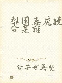 梨园春庞晓戈老公是谁