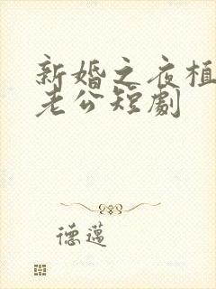 新婚之夜植物人老公短剧