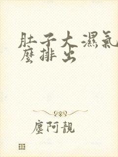 肚子大湿气重怎么排出