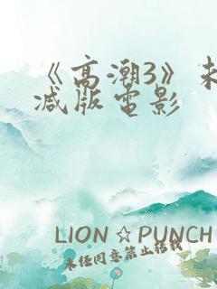 《高潮3》未删减版电影