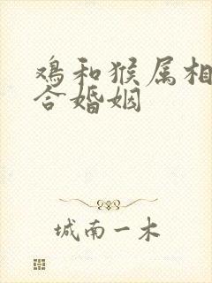 鸡和猴属相合不合婚姻