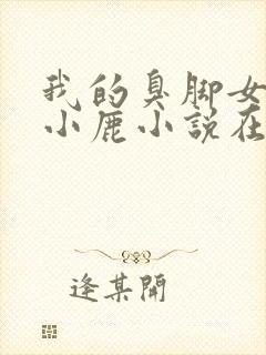 我的臭脚女友赵小鹿小说在线阅读