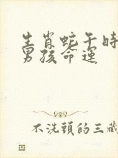 生肖蛇午时出生男孩命运