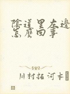 阴道里左边疼是怎么回事