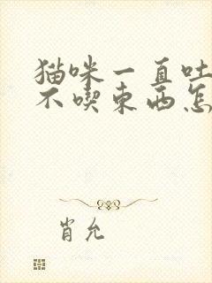 猫咪一直吐黄水不吃东西怎么办