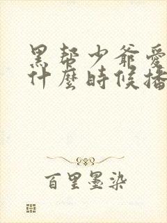 黑帮少爷爱上我什么时候播出的