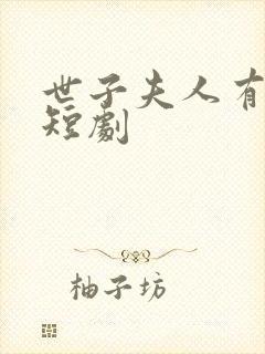 世子夫人有喜了短剧