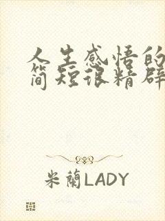 人生感悟的句子简短很精辟的那种