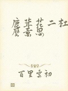 鹿茸花二杠是什么意思