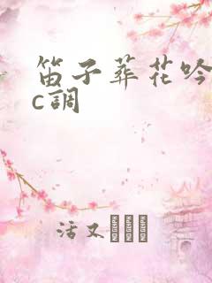 笛子葬花吟独奏c调