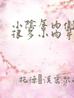 小阴唇内侧长了很多小肉芽痒