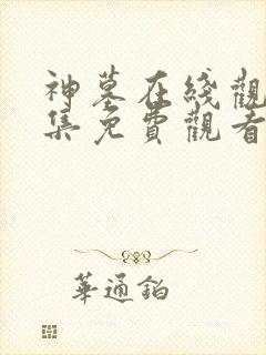 神墓在线观看全集免费观看动漫年番