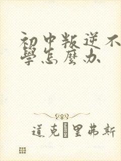 初中叛逆不想上学怎么办