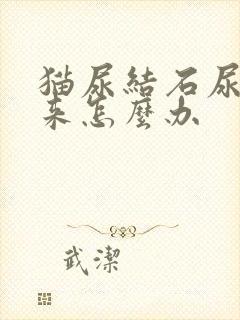 猫尿结石尿不出来怎么办