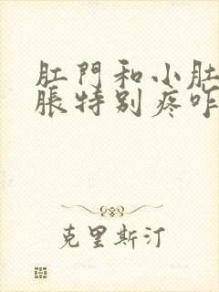 肛门和小肚子坠胀特别疼咋回事