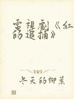 电视剧《红岩下的追捕》