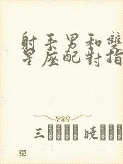 射手男和双子女星座配对指数