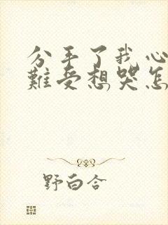 分手了我心里好难受想哭怎么办