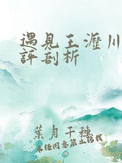 遇见王沥川的剧评剖析