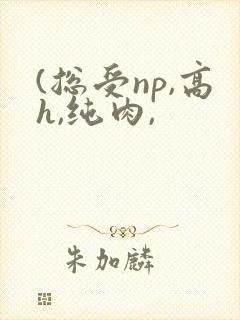 (总受np,高h,纯肉,